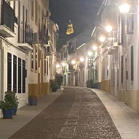 Apartment Enmitatiko Alcazar Viejo