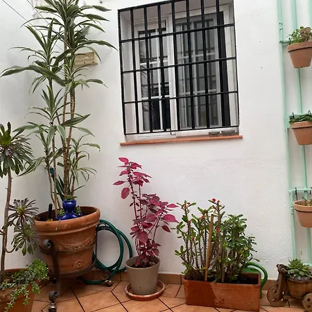 公寓 Enmitatiko Alcazar Viejo